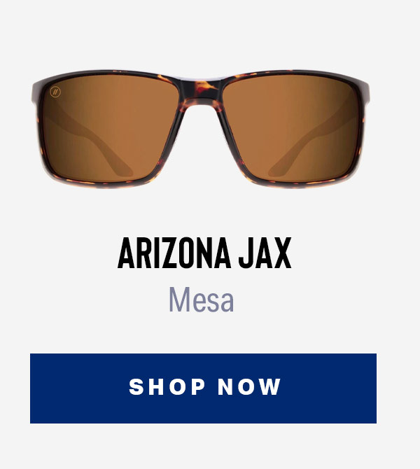 ARIZONA JAX | Mesa | SHOP NOW