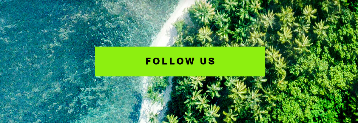FOLLOW US
