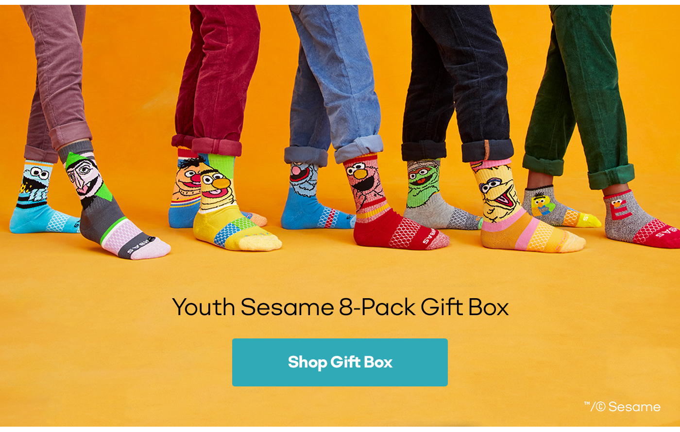 Youth Sesame 8-Pack Gift Box | Shop Gift Box