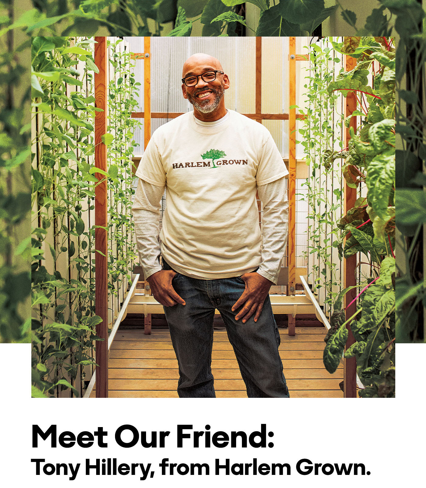 Meet Our Friend: Tony Hillery, from Harlem Grown. | We love meeting people who inspire us, and bring something new to the table. That's why each month on our Instagram, we're introducing you to one of our friends who is doing just that. | As a lunchroom volunteer, Tony was seeing firsthand how the lack of affordable, healthy foods was affecting children. So he started Harlem Grown, a non-profit organization whose mission is to inspire youth through education in urban farming, sustainability, and nutrition. And the effect goes way beyond full bellies. | 'Food is a basic human need. Lack of basic nutrition leads to reduced productivity and cognitive ability which directly relates to earning potential and ties back into homelessness. These are systemic issues that are all interconnected.' - Tony Hillery