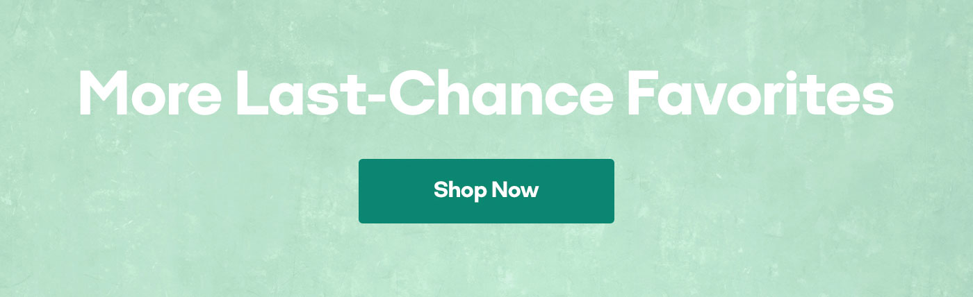 More Last-Chance Favorites | Shop Now