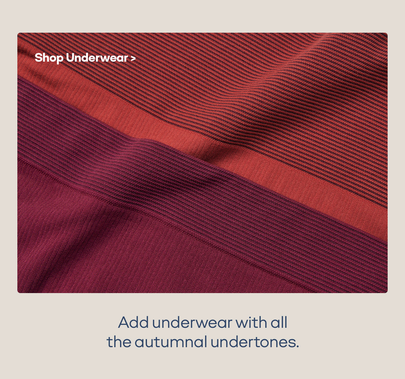 Shop Underwear> Add underwear with all the autumnal undertones.