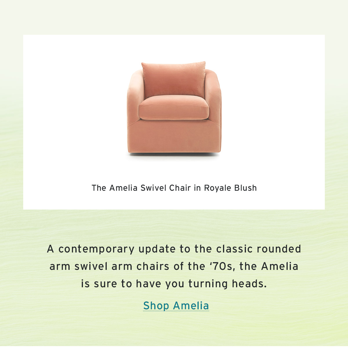 Shop Amelia