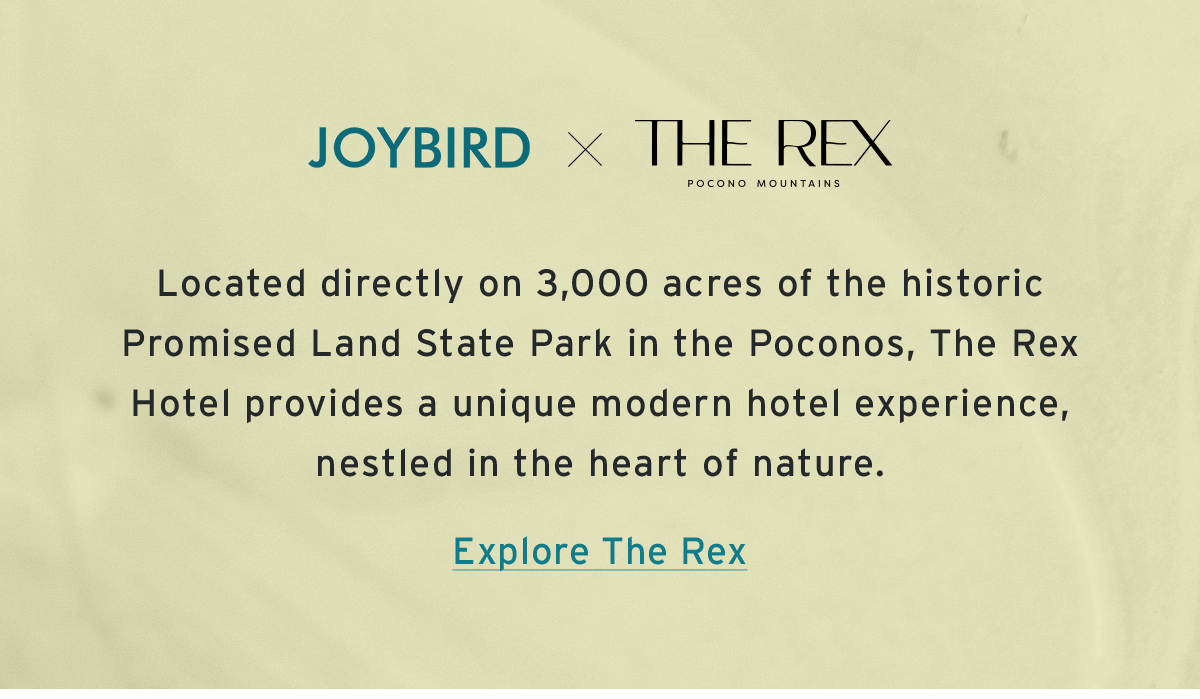 Joybird THE REX POCONO MOUNTAINS| Located directly on 3,000 acres of the historic Promised Land State Park in the Poconos, The Rex Hotel provides a unique modern hotel experience, nestled in the heart of nature. | Explore The Rex