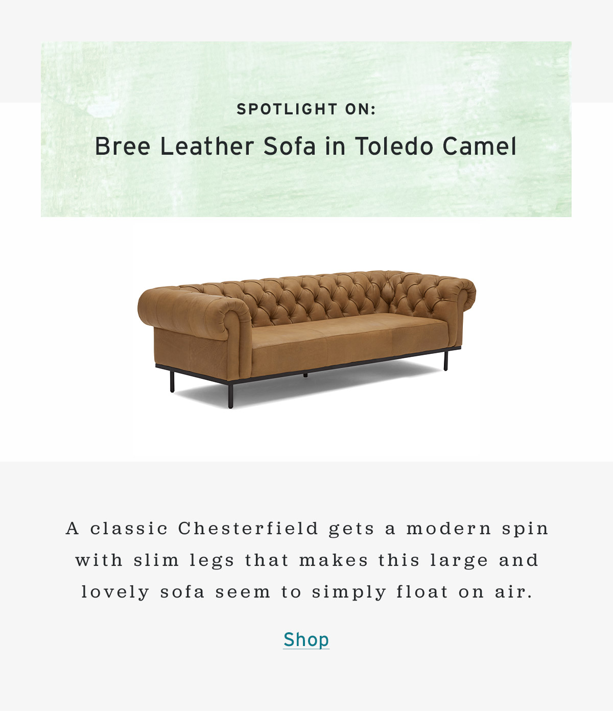 Bree Leather Sofa in Toledo Camel | Shop