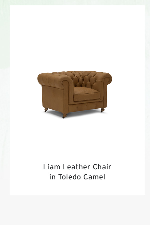 Liam Leather Chair in Toledo Camel