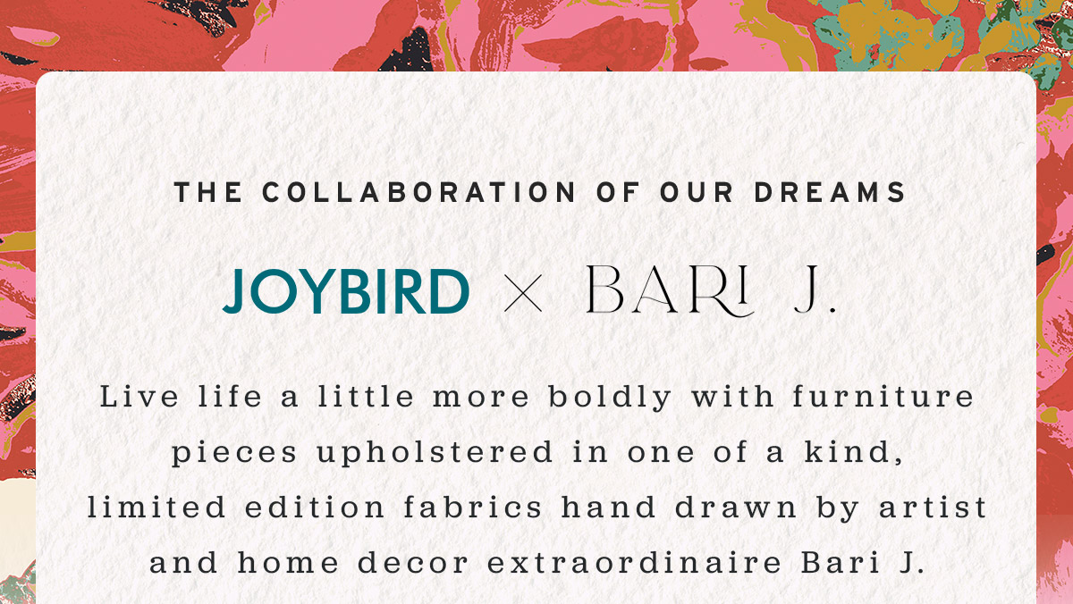 The collaboration of our dreams - JOYBIRD X BARI J.