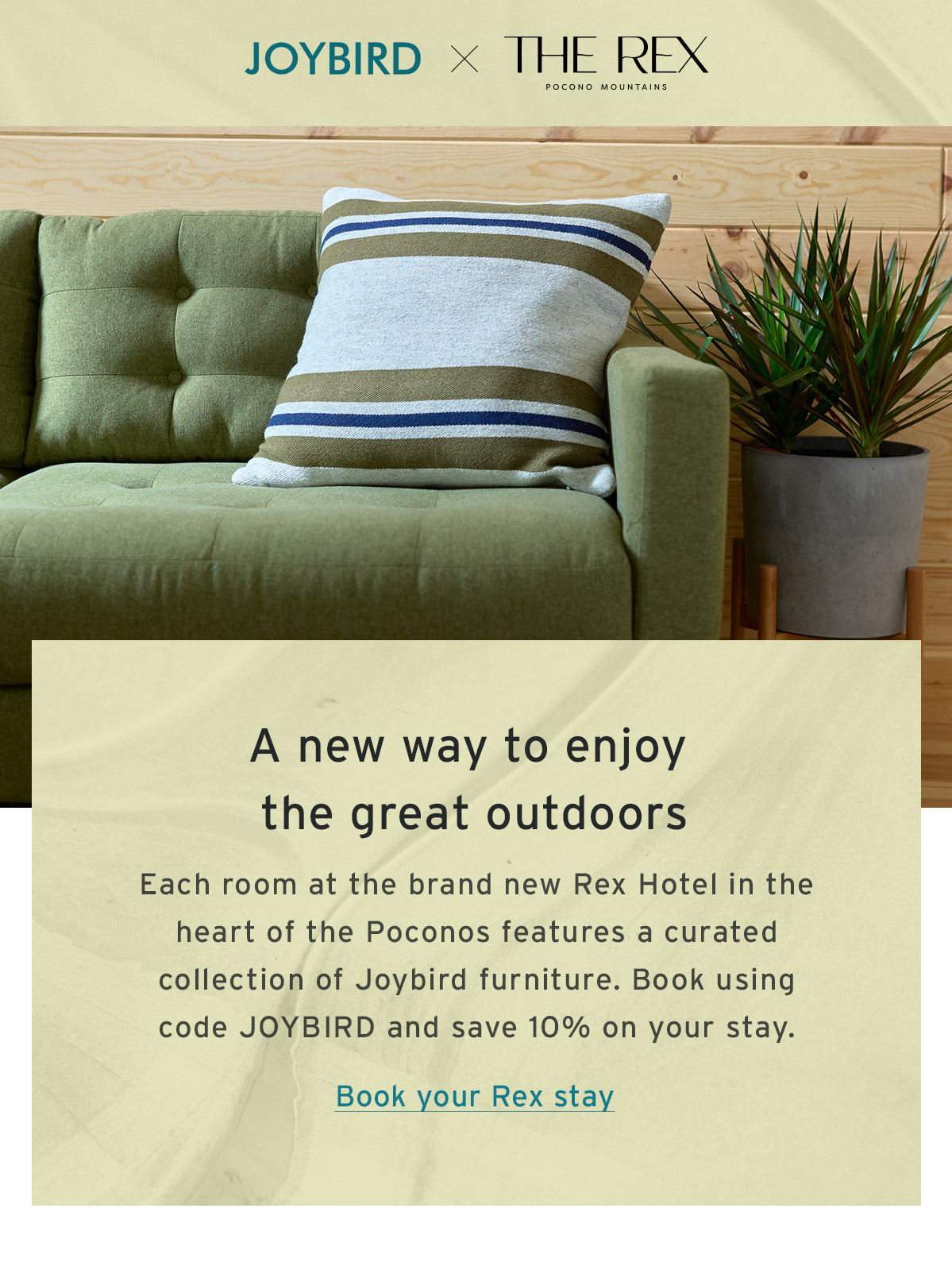 JOYBIRD X THE REX | Book your Rex stay