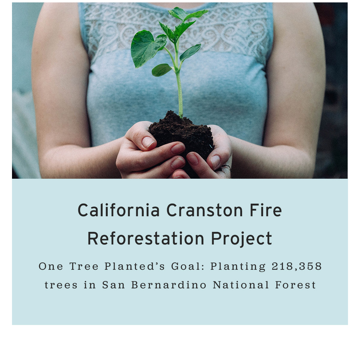 Fire Restoration Project