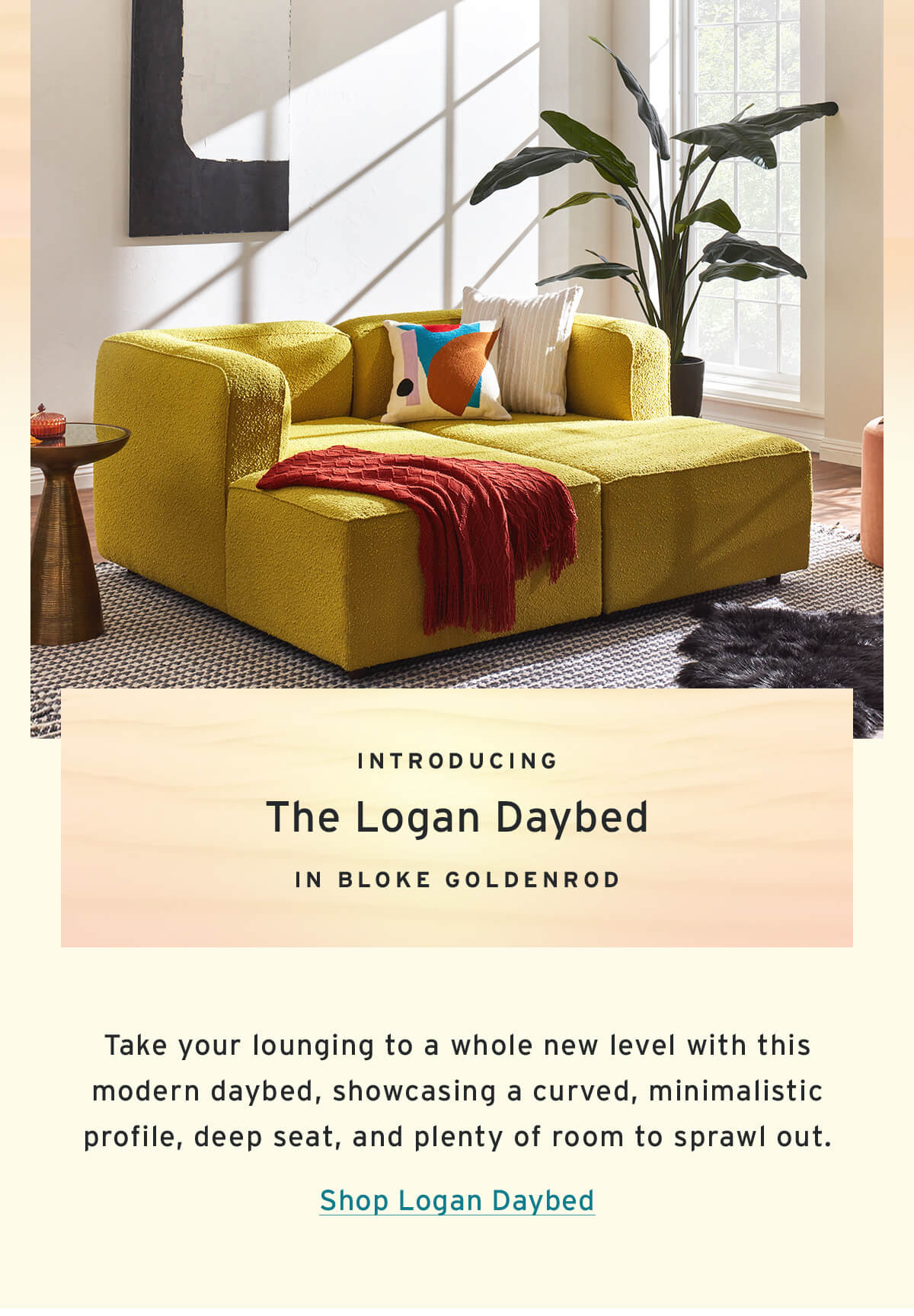 Introducing  The Logan Daybed  in bloke goldenrod // Shop Logan Daybed