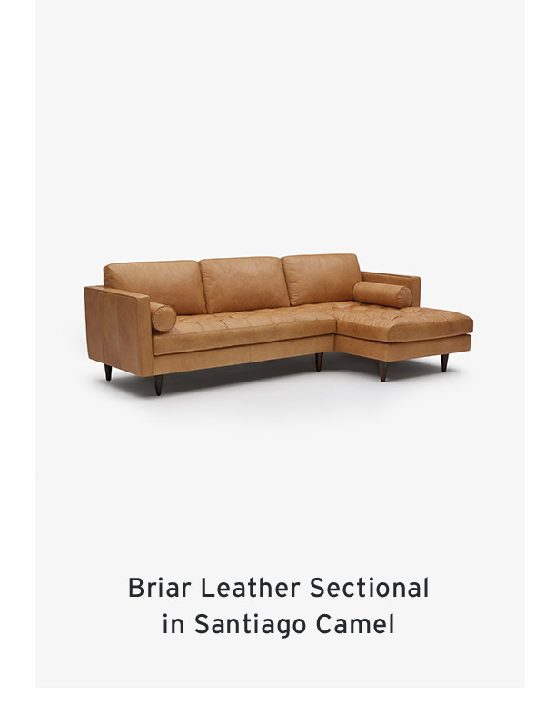 Briar Leather Sectional in Santiago Camel