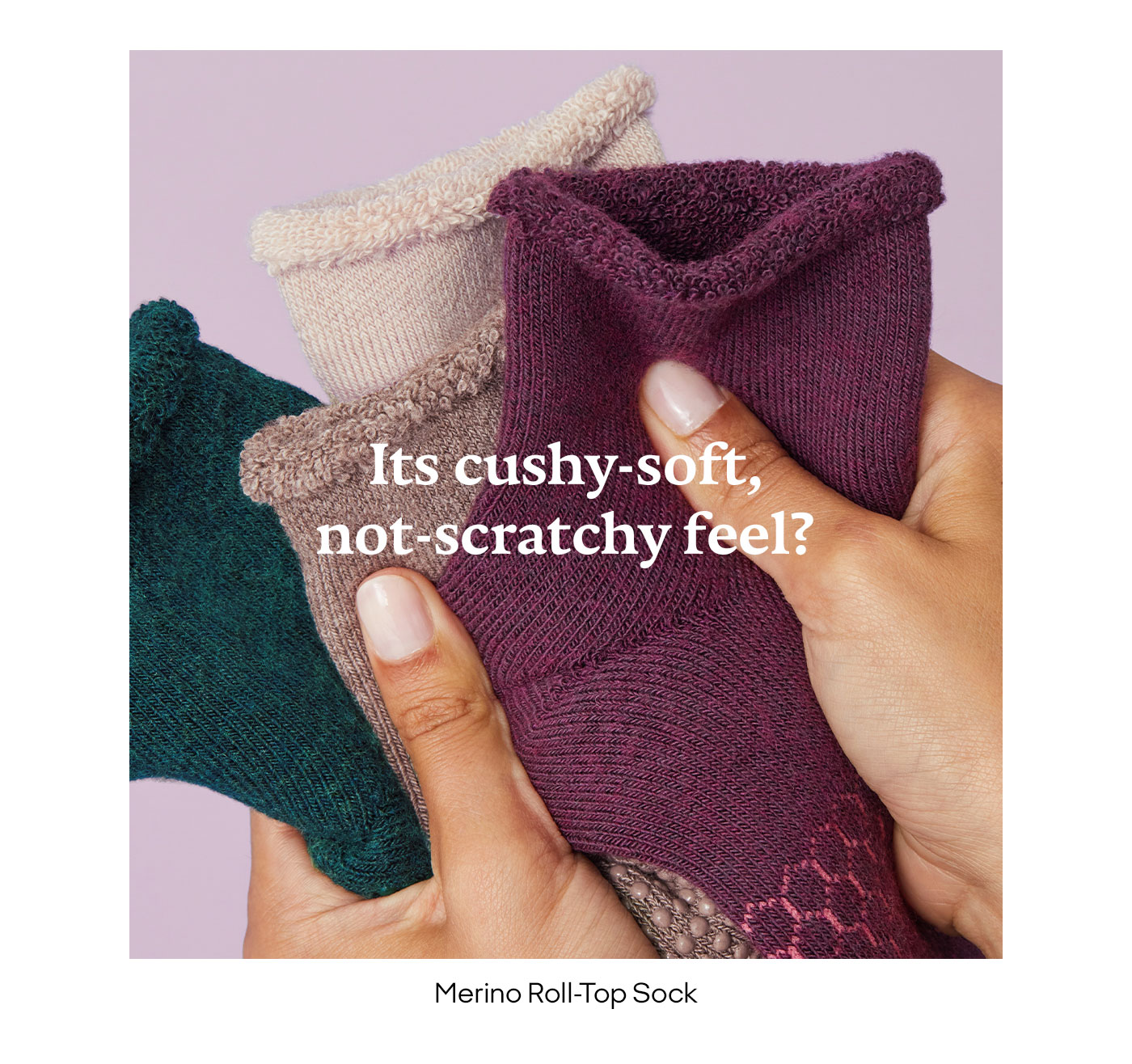 Its cushy-soft not-scratchy feel? | Merino Roll-Top Sock